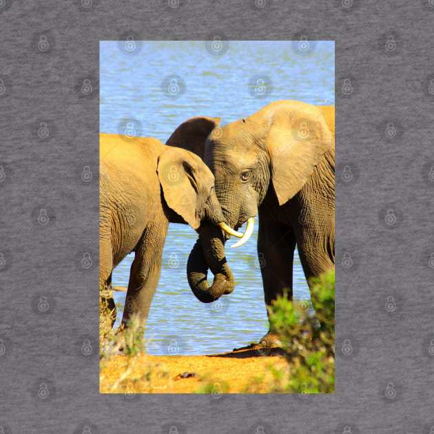 African Wildlife Photography Elephant love by PathblazerStudios